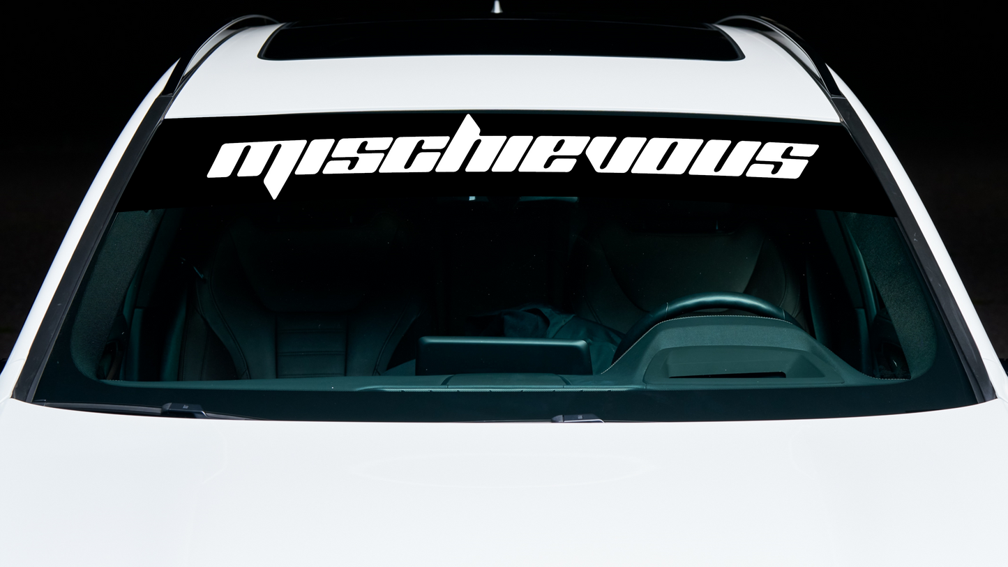 Custom Car Banner Decal